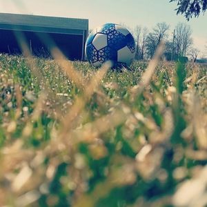 Meet your Posher, Gracey_